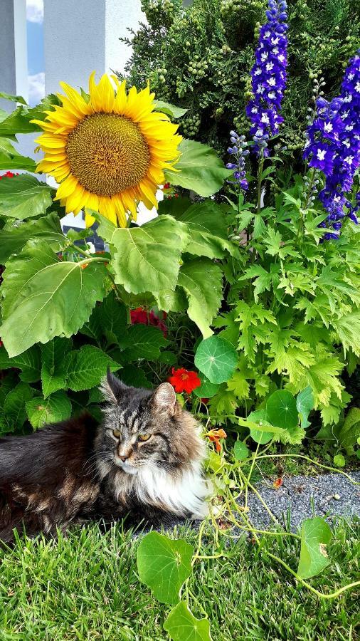 Willa Morska W Chlapowie Władysławowo Exteriér fotografie